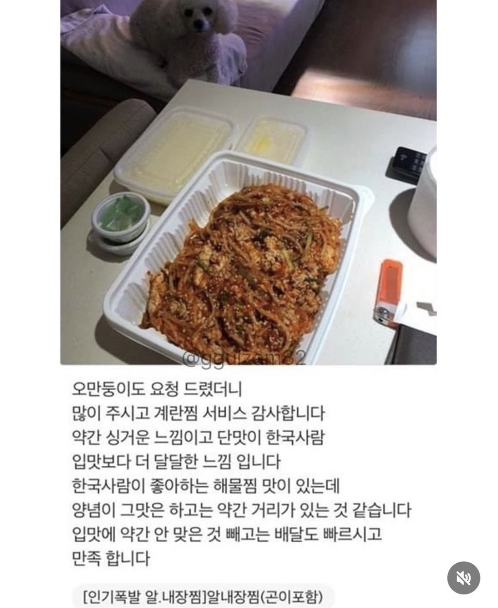 늘-보이던-강아지가-안-보이니-아쉬워하는-사장님.jpg-2-이미지