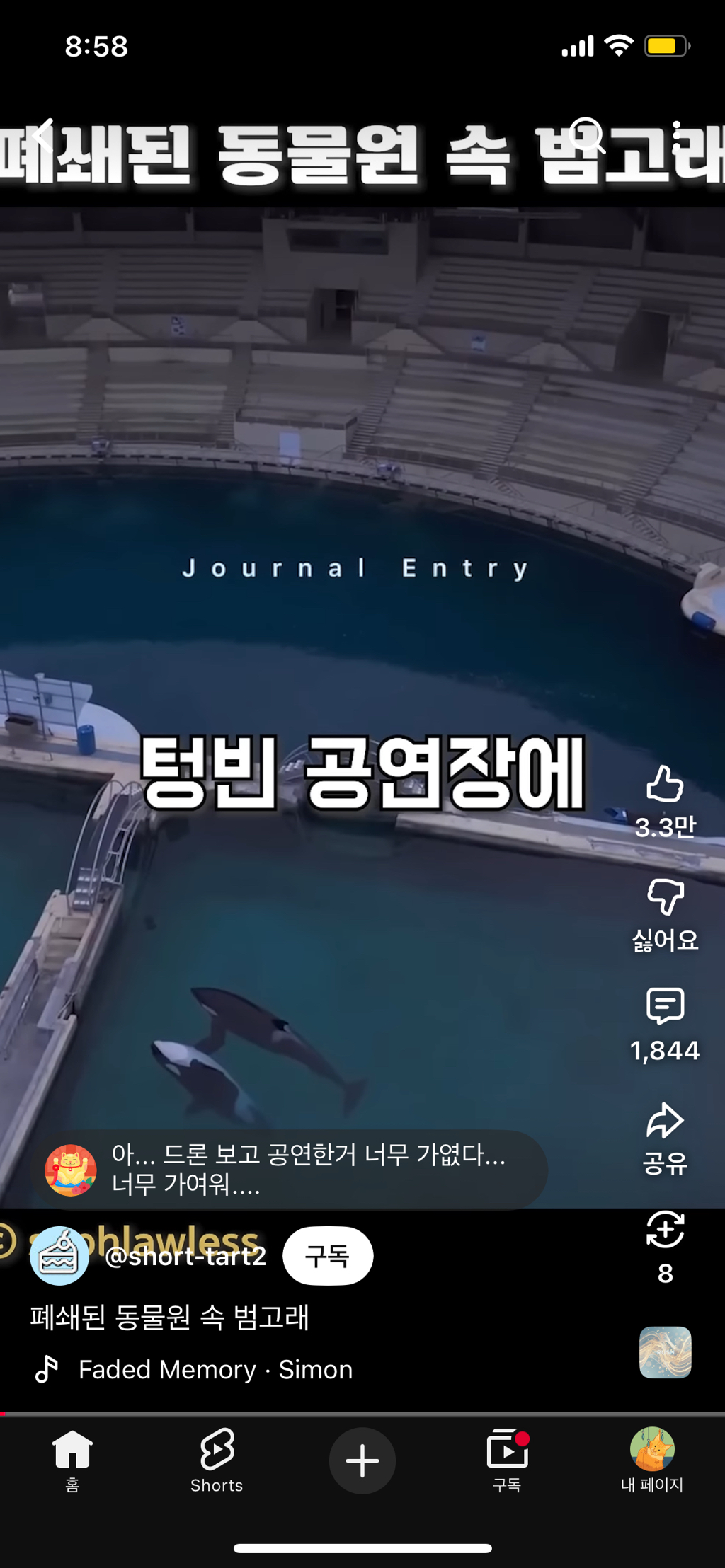 프랑스가-사진작가-고소함-0-이미지