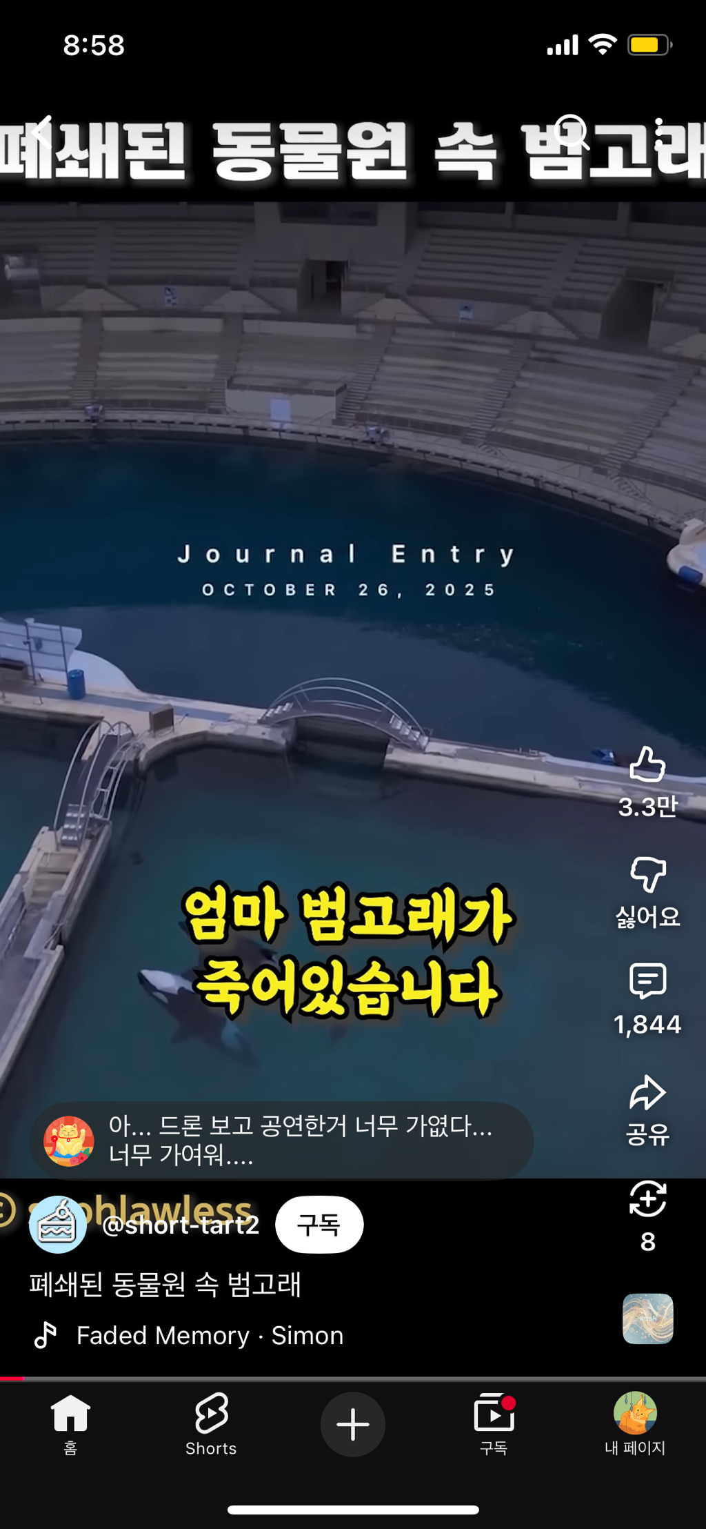 프랑스가-사진작가-고소함-1-이미지