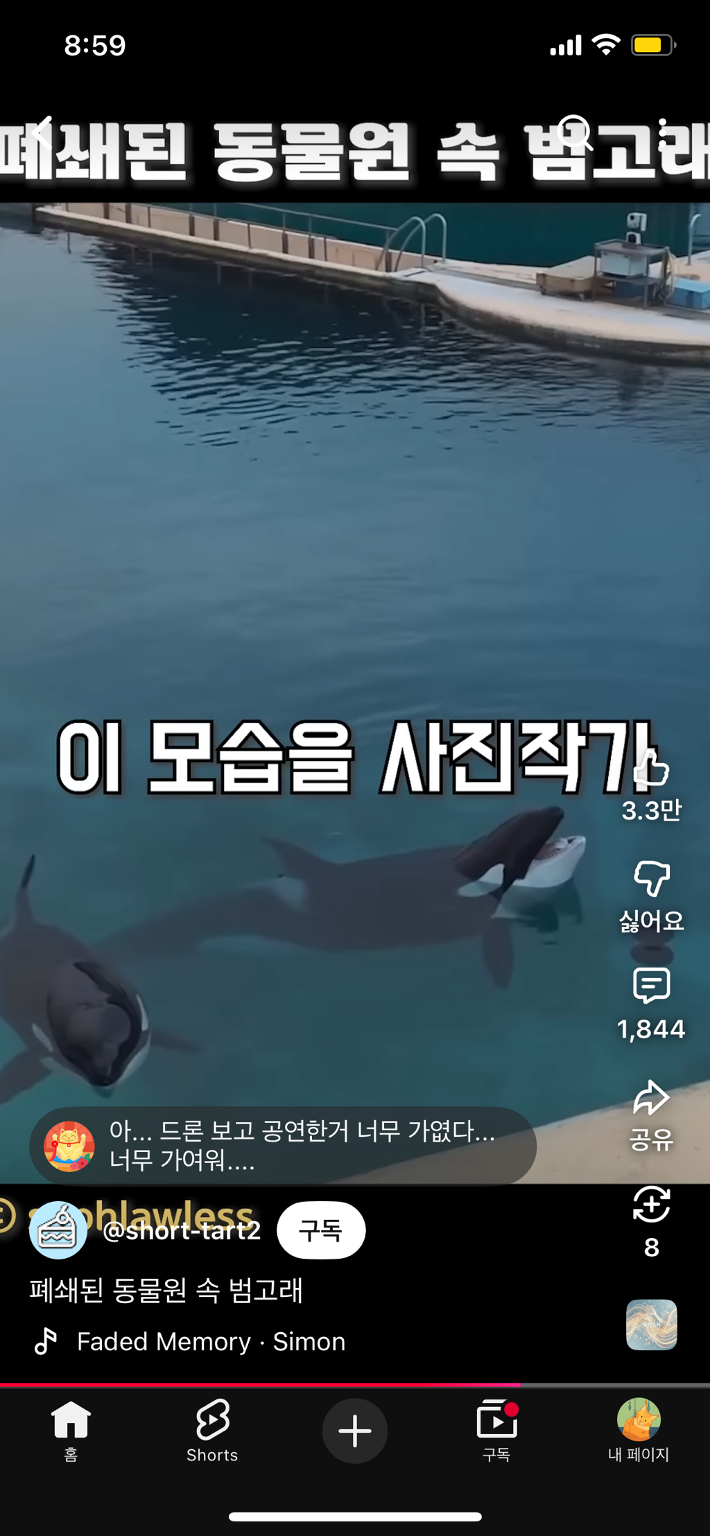 프랑스가-사진작가-고소함-38-이미지