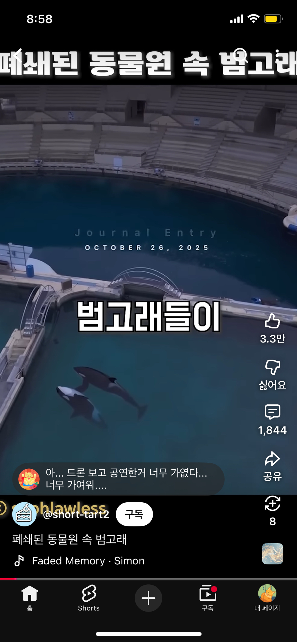 프랑스가-사진작가-고소함-2-이미지