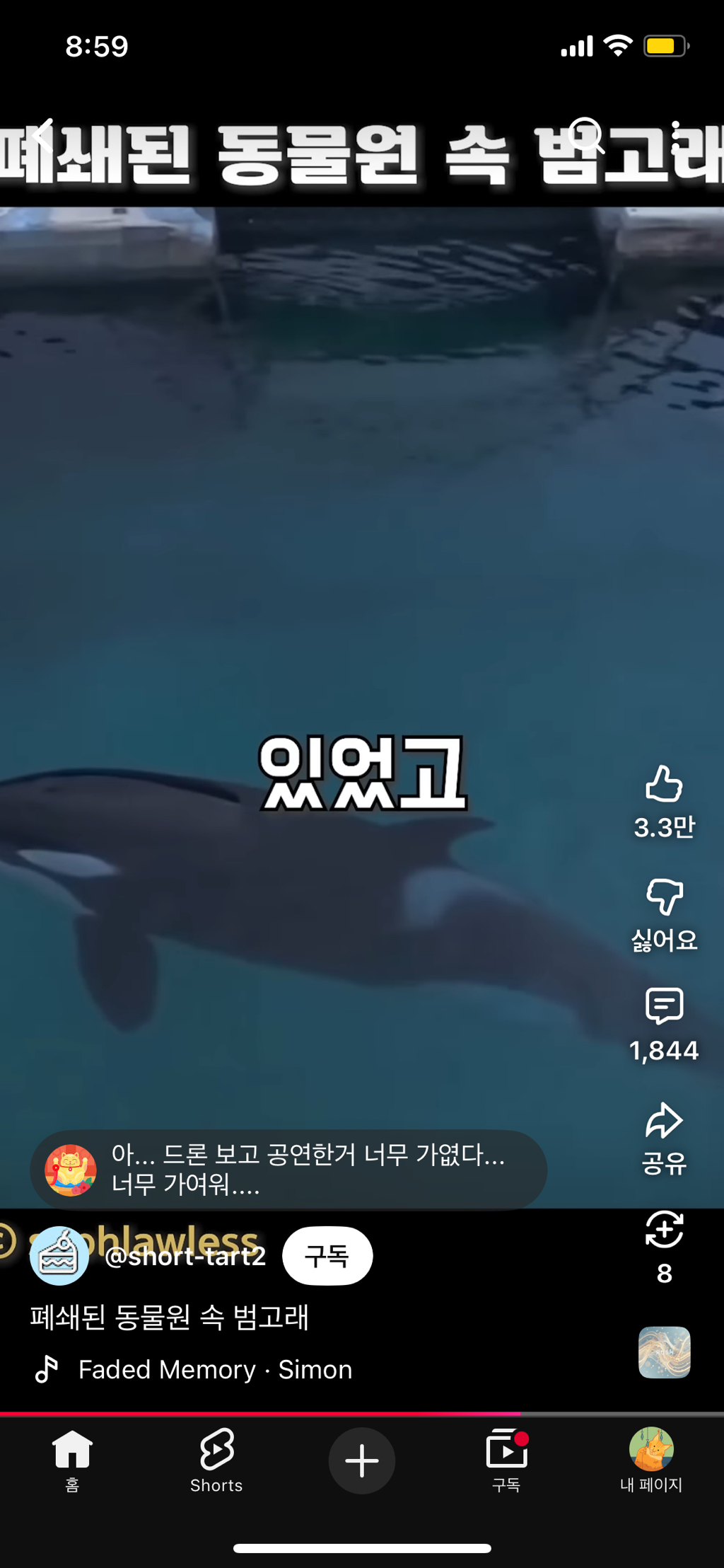 프랑스가-사진작가-고소함-37-이미지