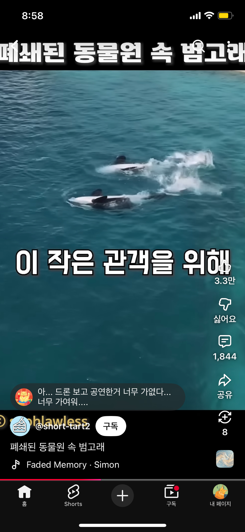 프랑스가-사진작가-고소함-19-이미지