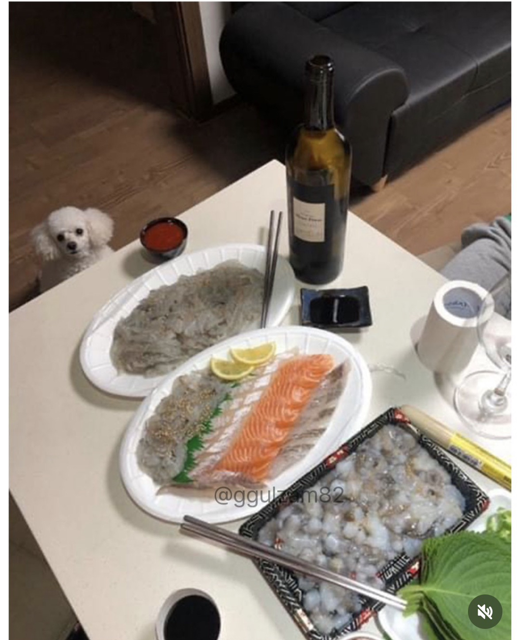 늘-보이던-강아지가-안-보이니-아쉬워하는-사장님.jpg-3-이미지