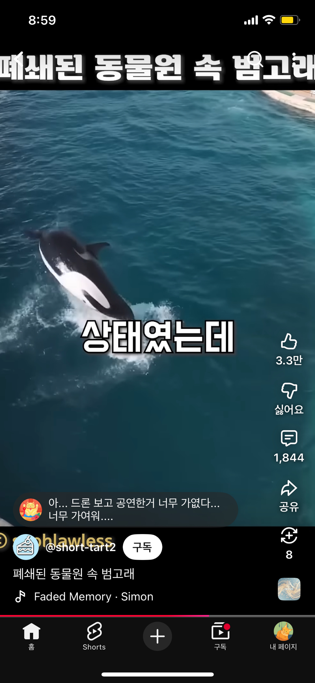 프랑스가-사진작가-고소함-33-이미지