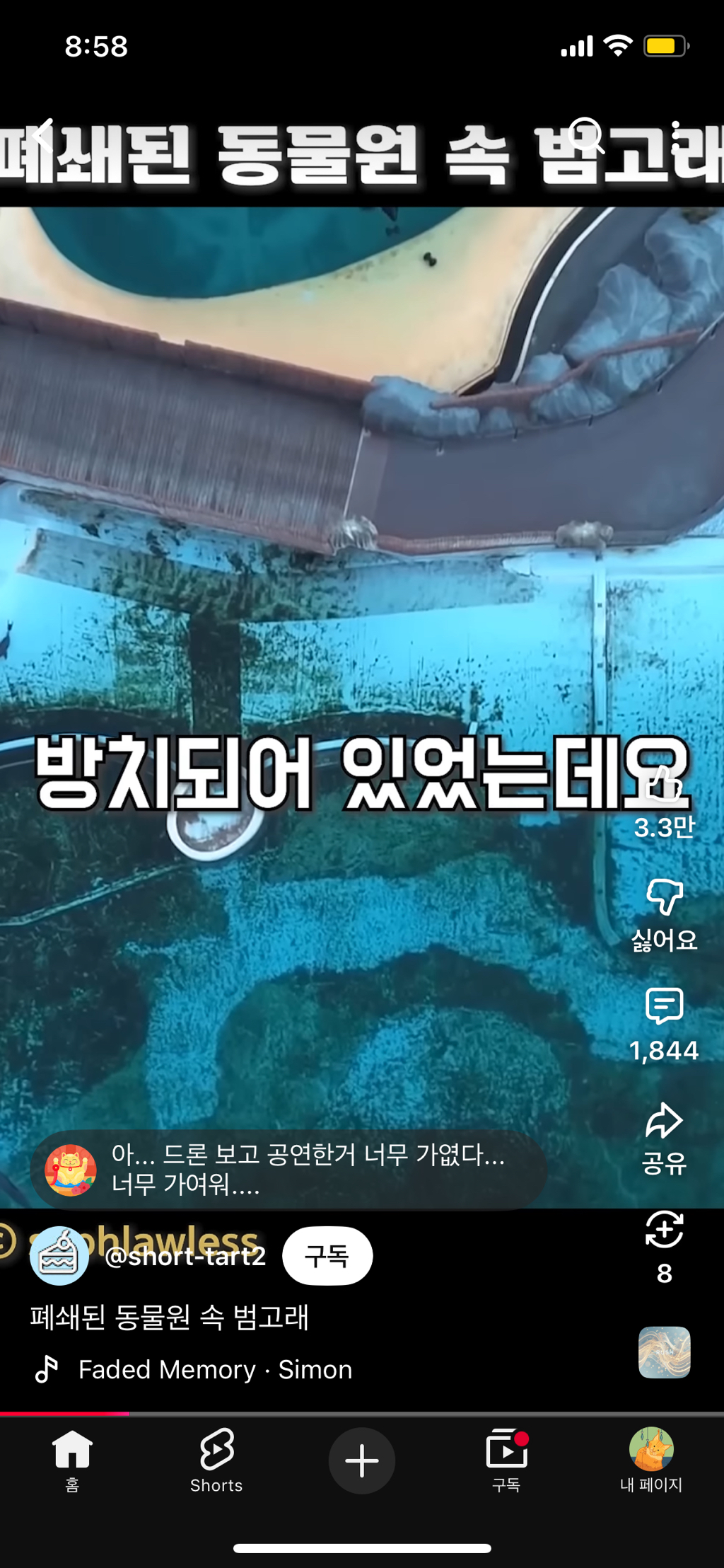 프랑스가-사진작가-고소함-8-이미지