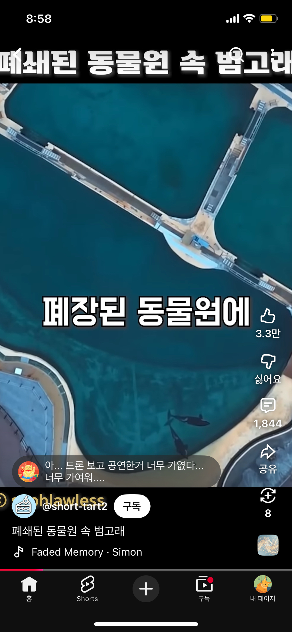 프랑스가-사진작가-고소함-6-이미지