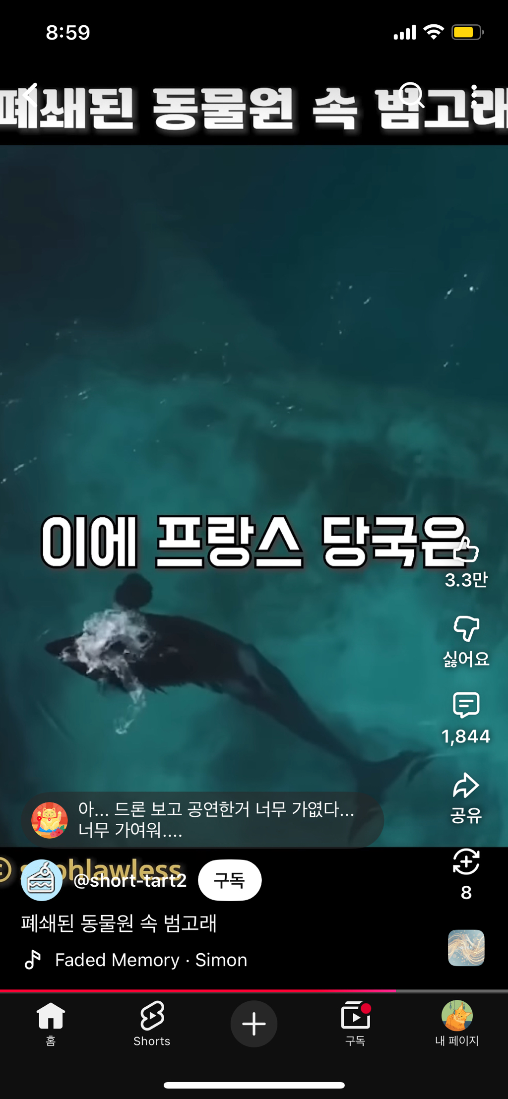 프랑스가-사진작가-고소함-41-이미지