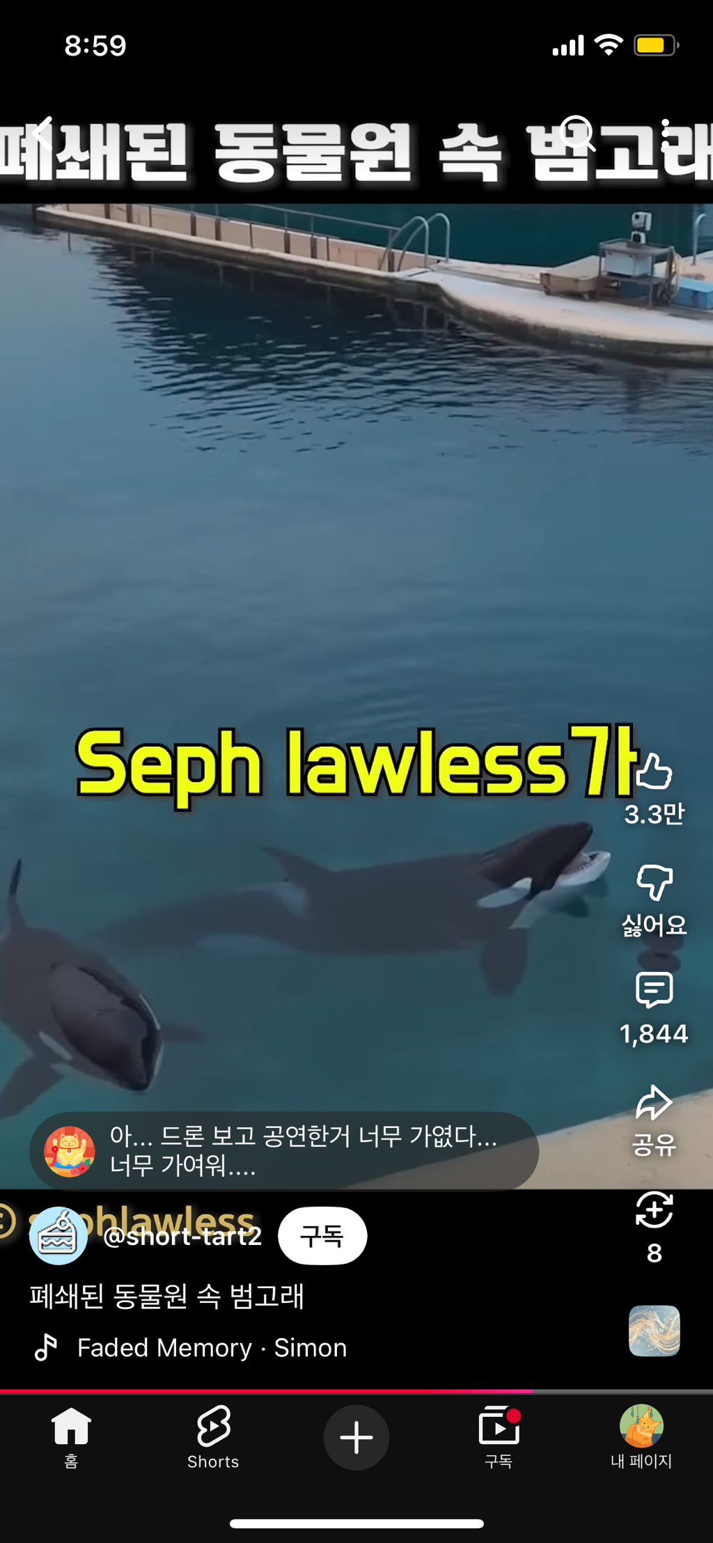 프랑스가-사진작가-고소함-39-이미지