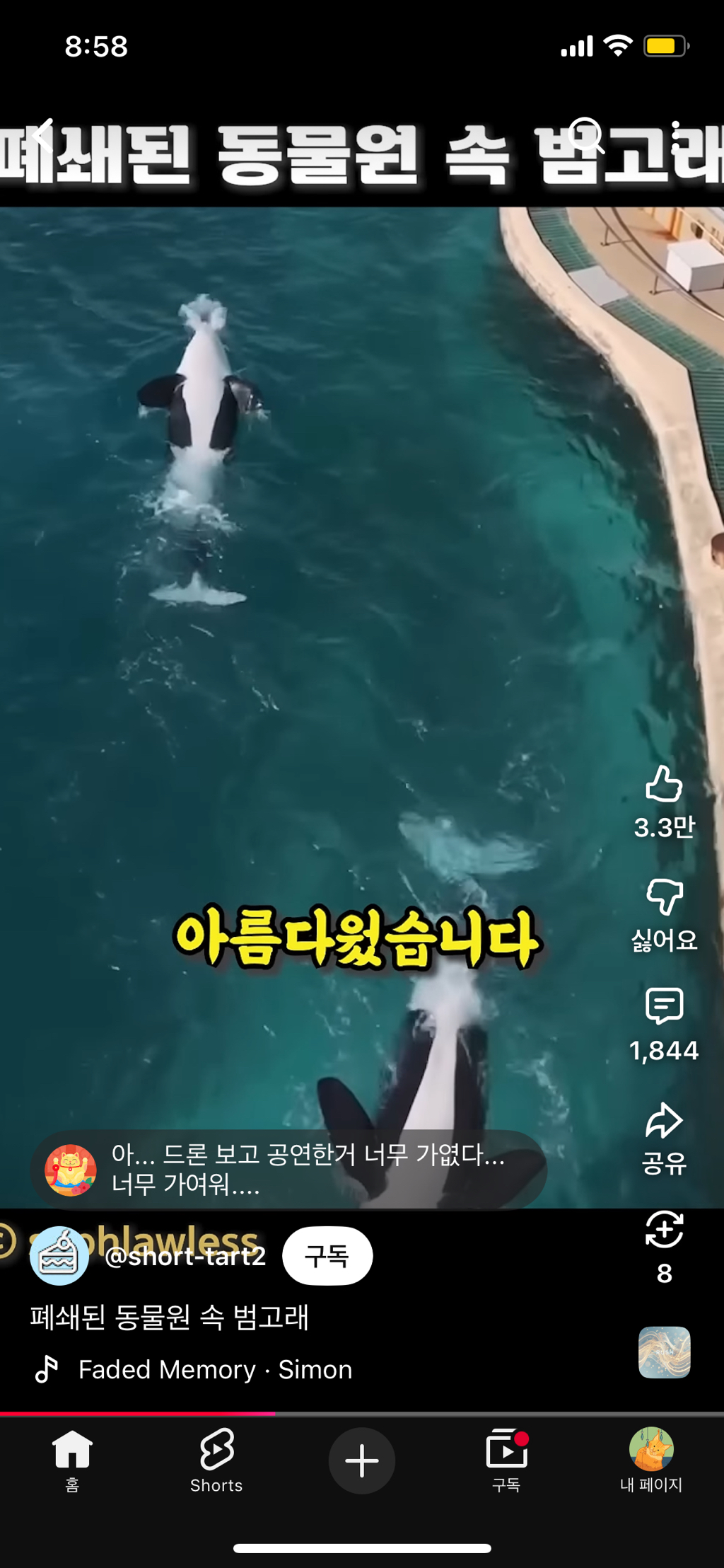 프랑스가-사진작가-고소함-17-이미지