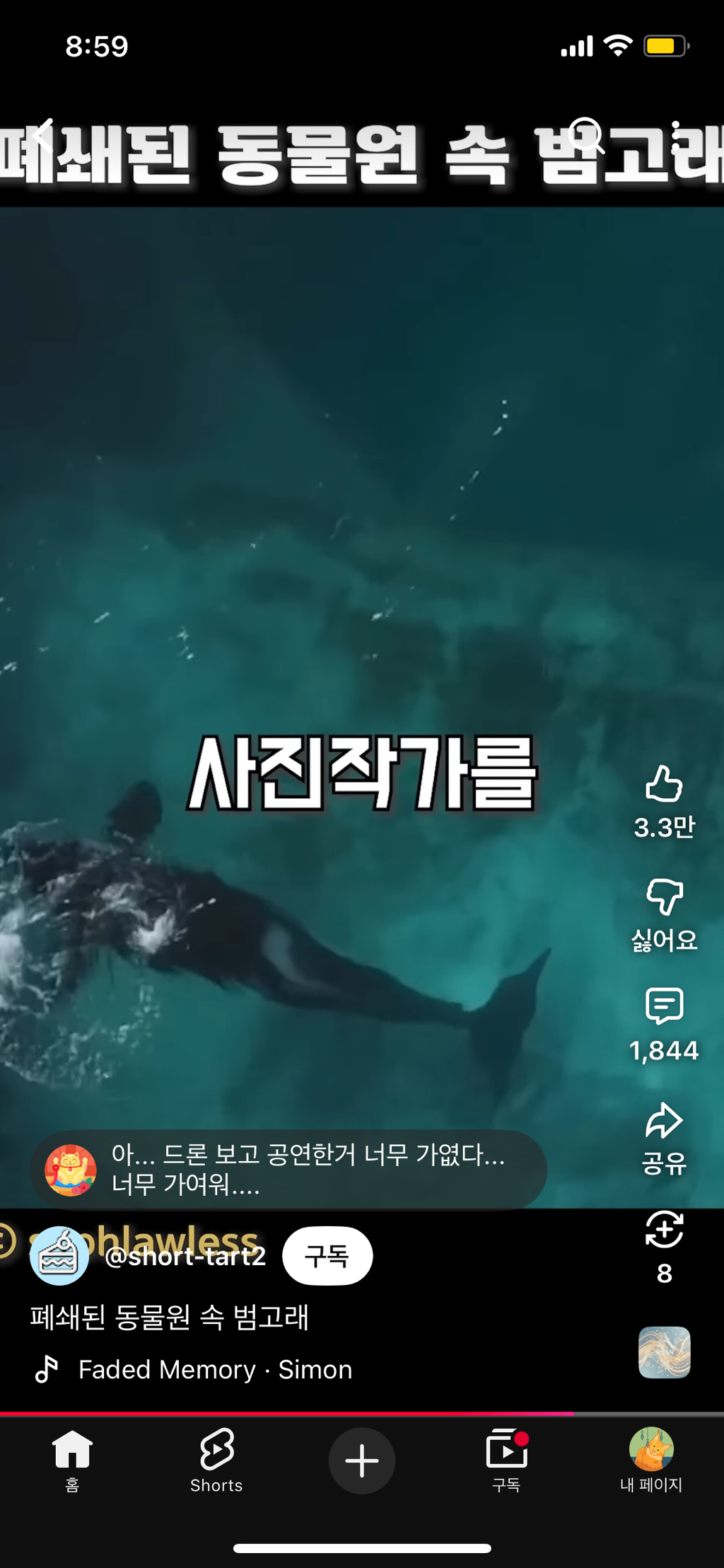 프랑스가-사진작가-고소함-42-이미지