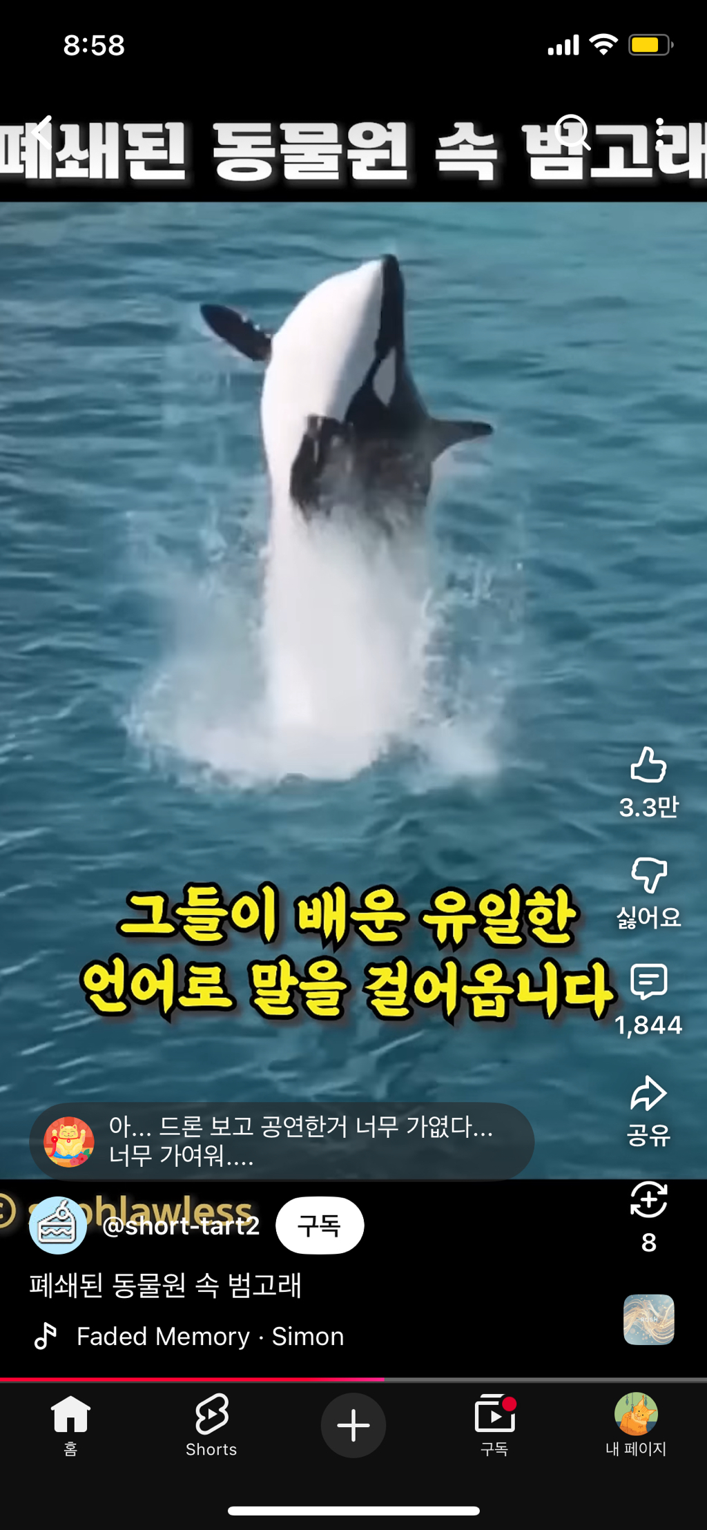 프랑스가-사진작가-고소함-24-이미지