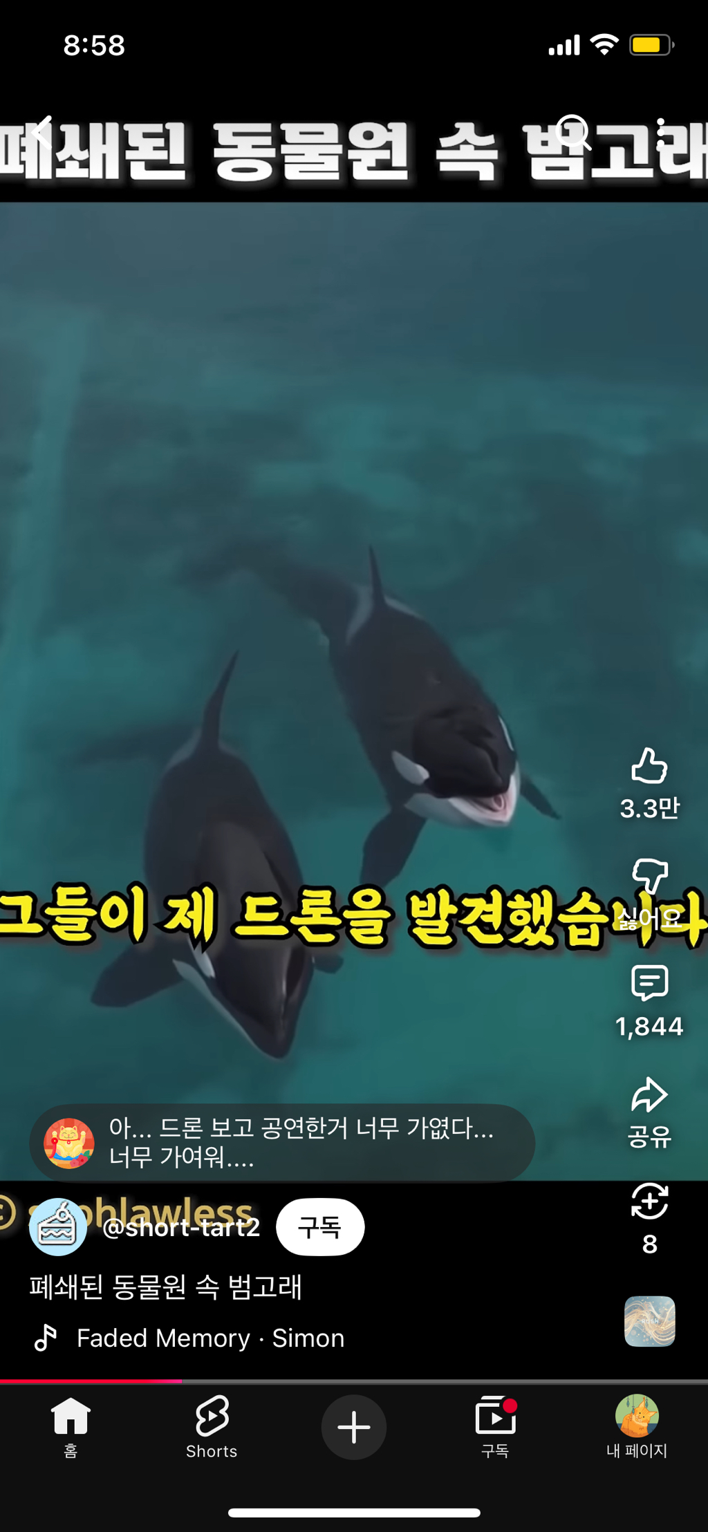 프랑스가-사진작가-고소함-11-이미지