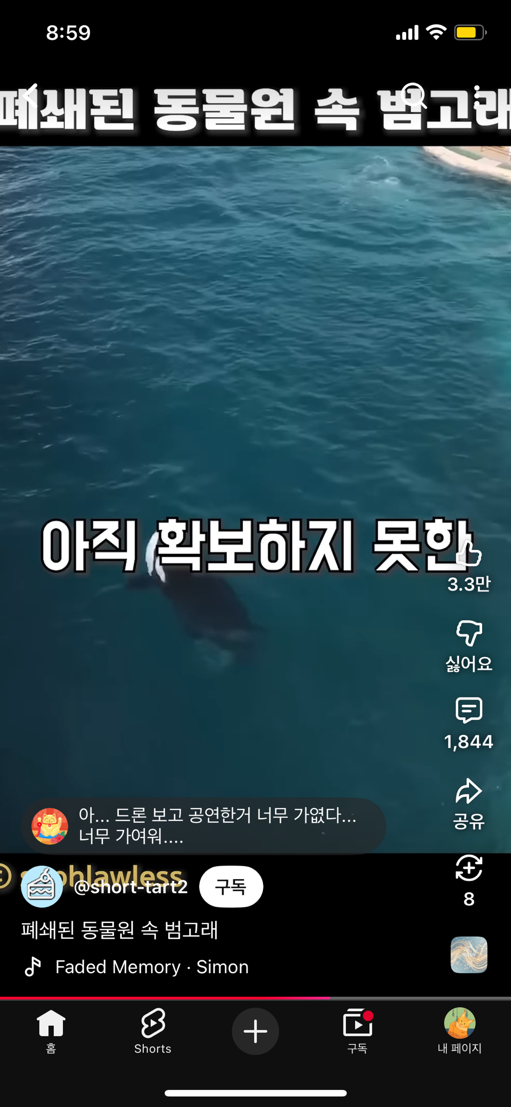 프랑스가-사진작가-고소함-32-이미지