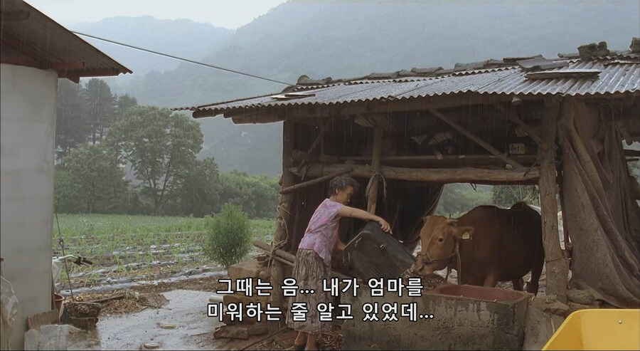 다방-레지-불러다가-방송-시켰다가-대형-방송사고-20-이미지