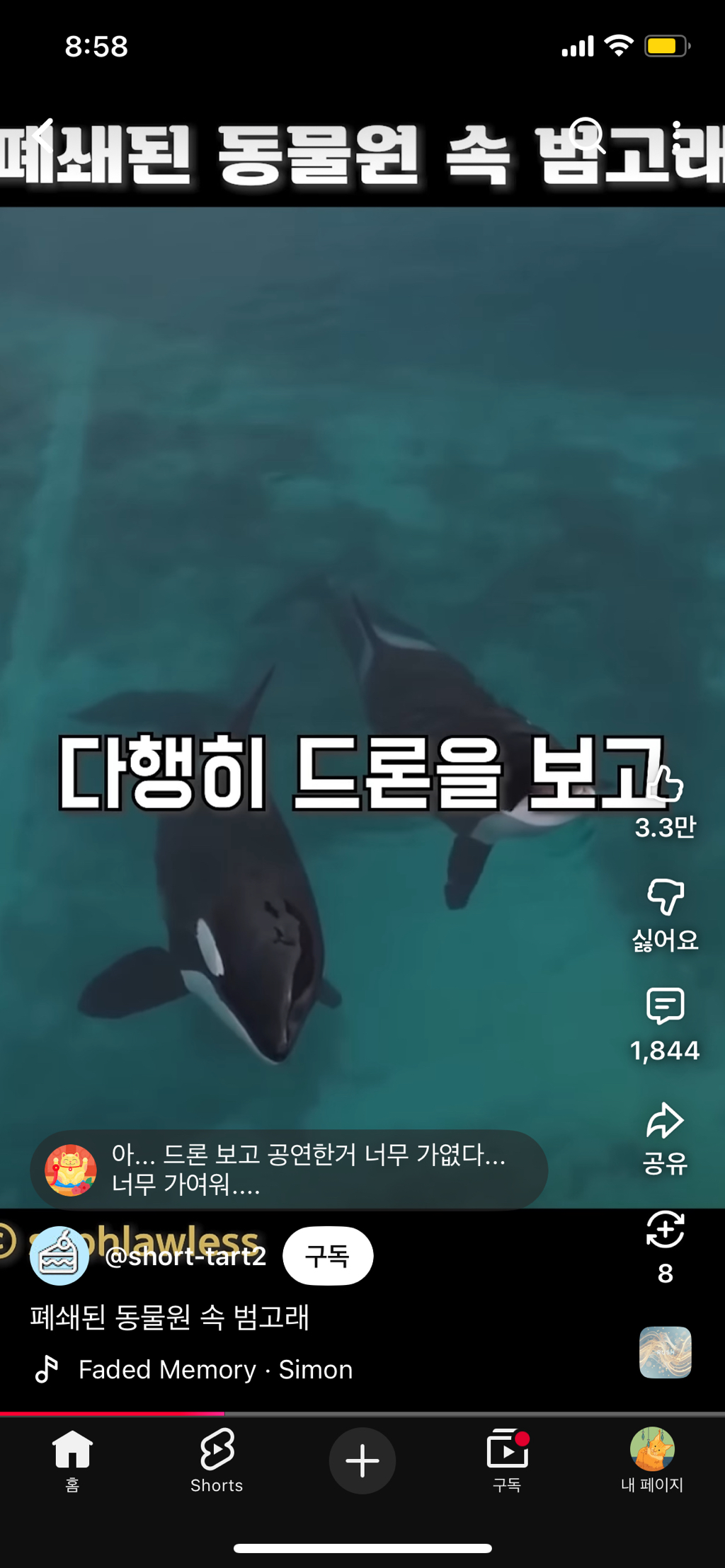 프랑스가-사진작가-고소함-14-이미지