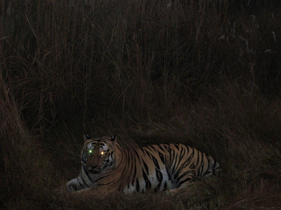 우리-조상들이-어두워지면-밖에-안-나가려고-한-이유.jpg-4-이미지