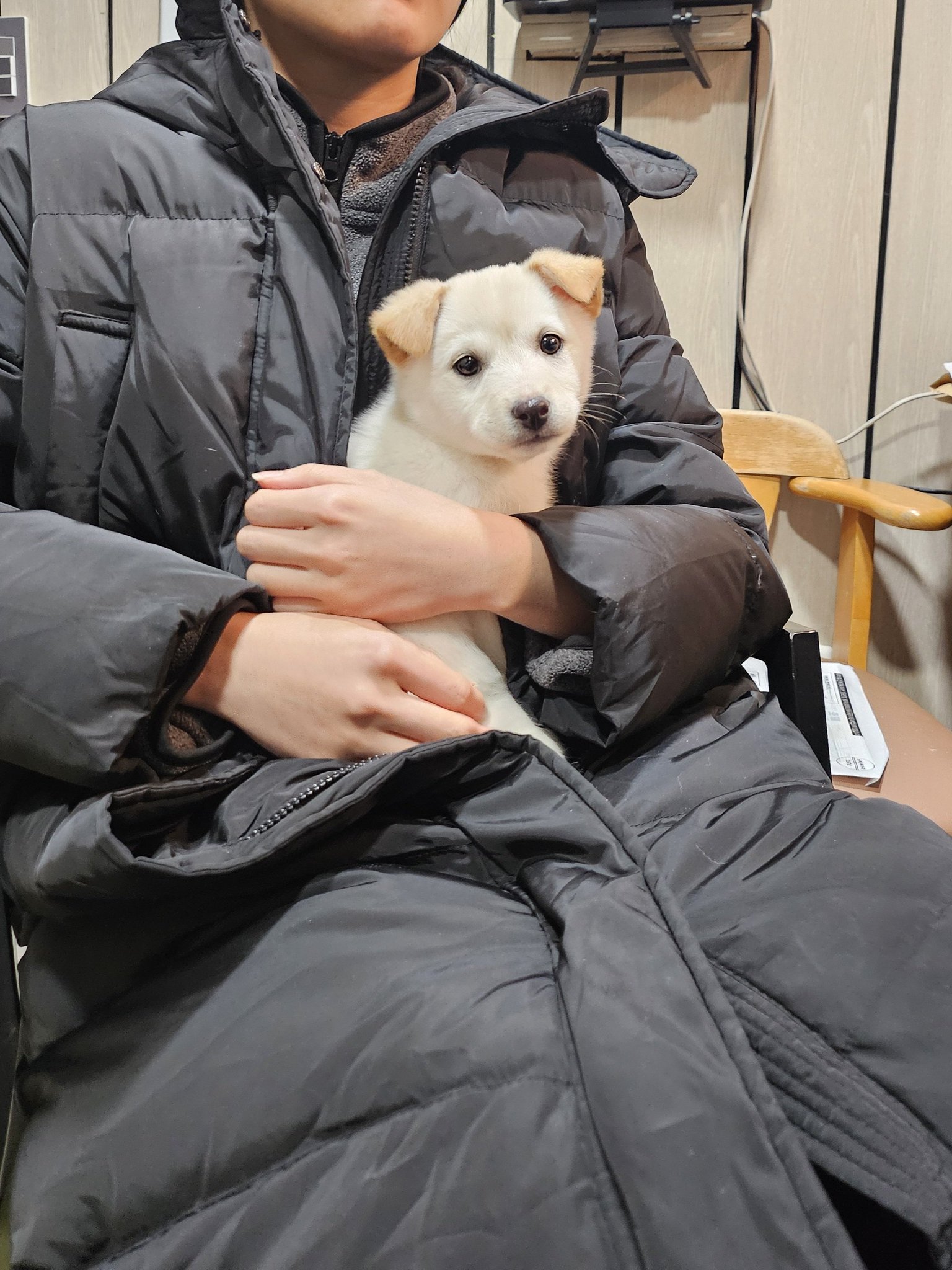 저랬던-애가-....요래됐심더-.개란-진짜....-뭘까-.......twt-1-이미지