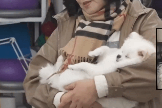 유기견센터에서-댕댕이-입양한-기안84-어머니.gif-0-이미지