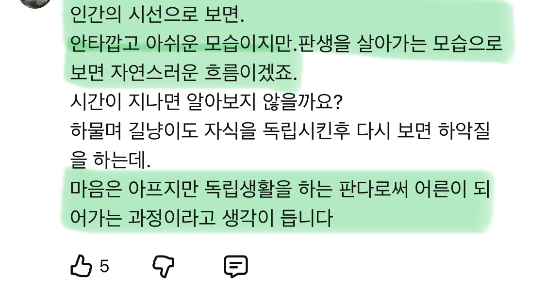 2년만에-엄마를-만난-아기판다🐼🐼-1-이미지