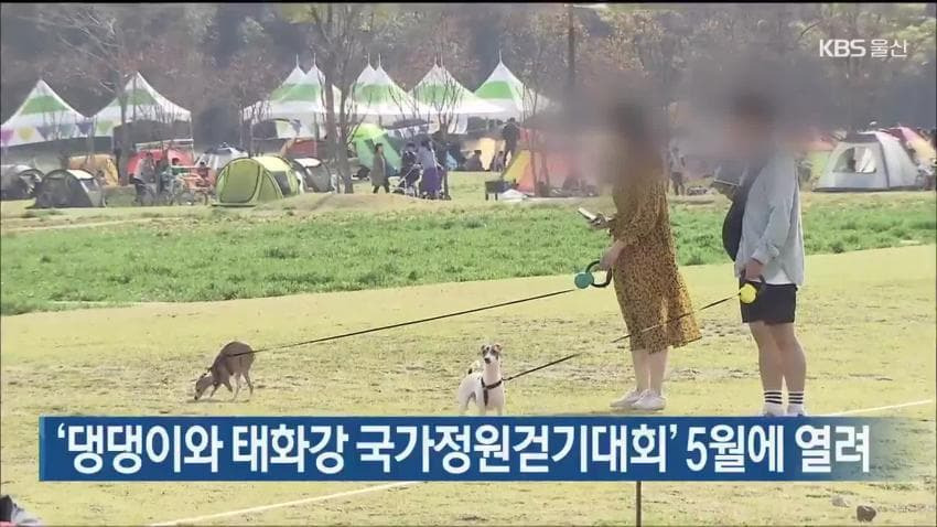 제일-성공한-디시-유행어-3-이미지