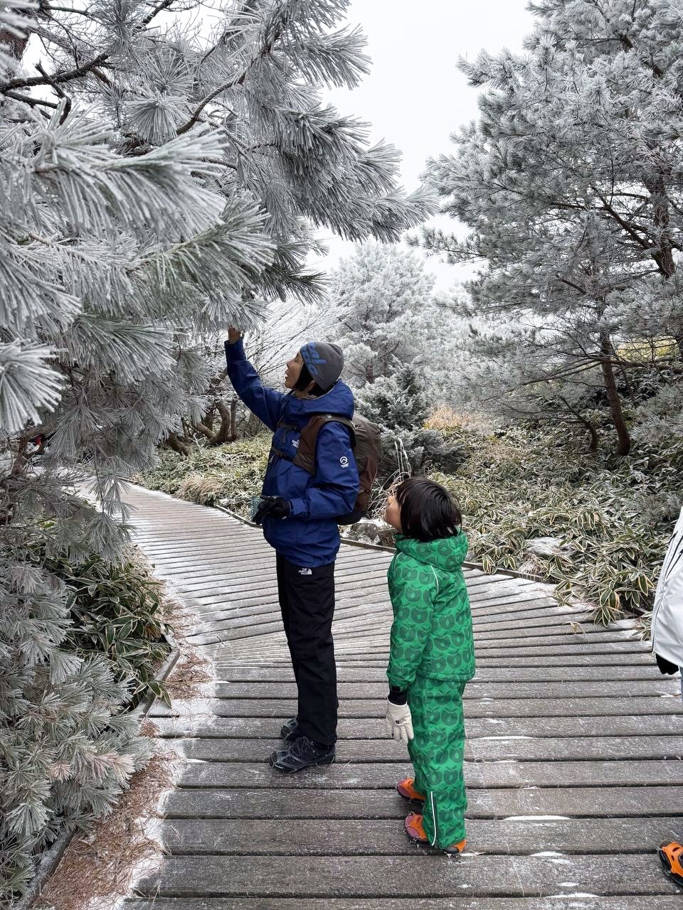 한라산-다녀온-김나영네-가족.jpg-4-이미지