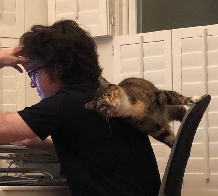 사람은-진짜-먹는대로-냄새난다-0-이미지