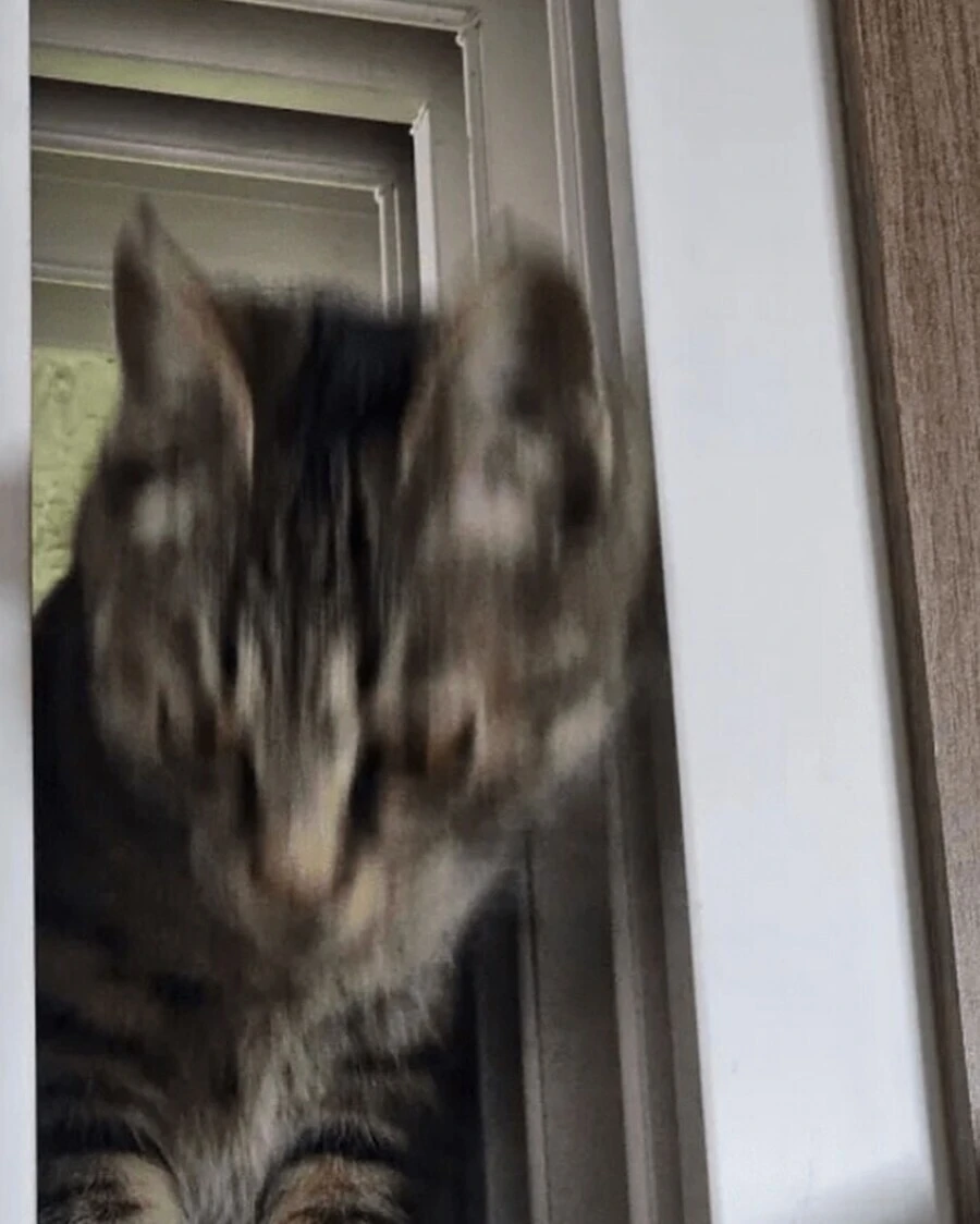 최고의-반지하-옵션.jpg-4-이미지