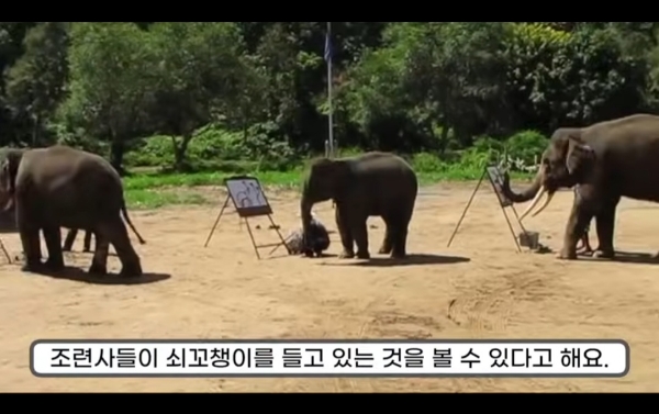 그림그리는-천재-코끼리.gif-9-이미지
