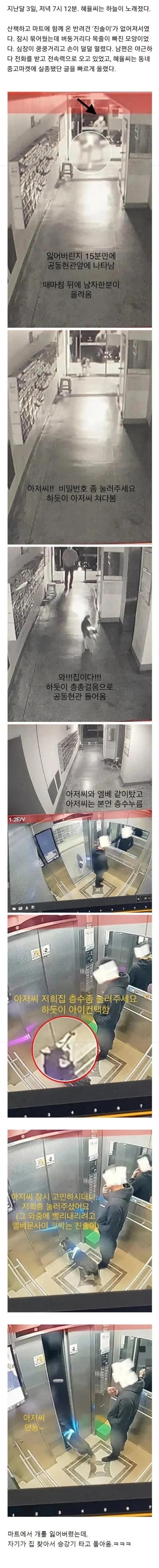 마트갔다가-반려견을-잃어버림-.jpg-0-이미지