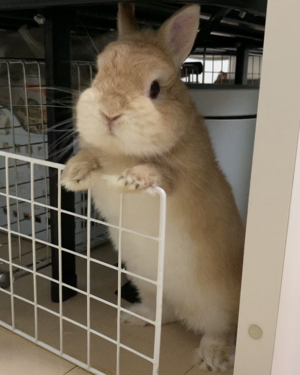 직장-다니며-돈-모으는-꿀팁-말해보는-달글-0-이미지