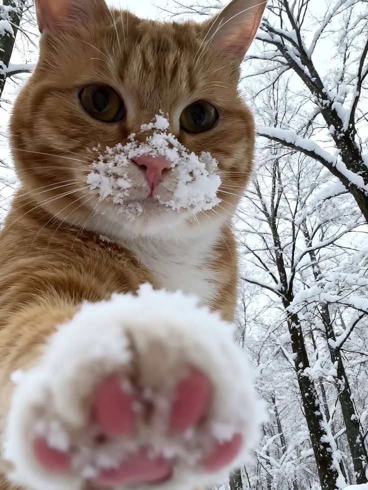 생각보다-많다는-사람들의-발-상태-0-이미지