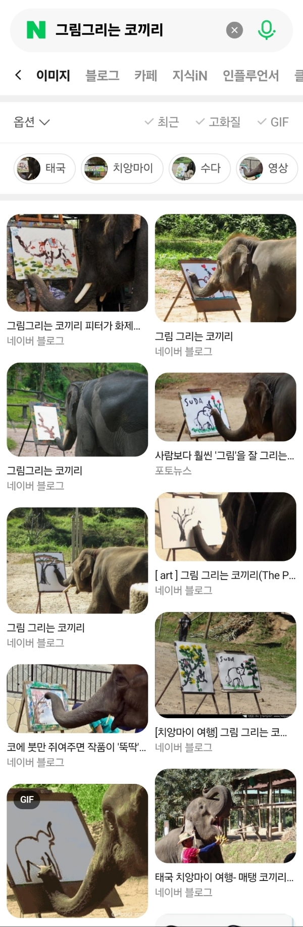 그림그리는-천재-코끼리.gif-0-이미지