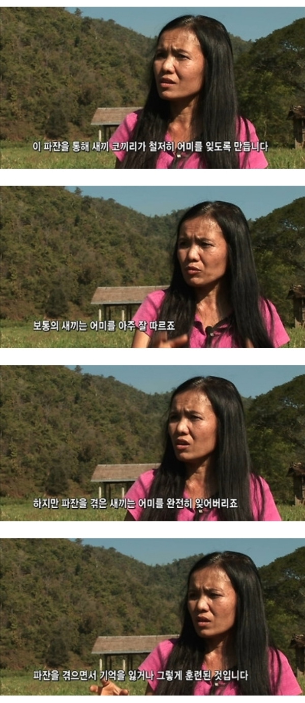 그림그리는-천재-코끼리.gif-12-이미지