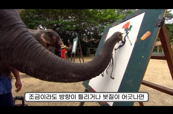 그림그리는-천재-코끼리.gif-6-이미지