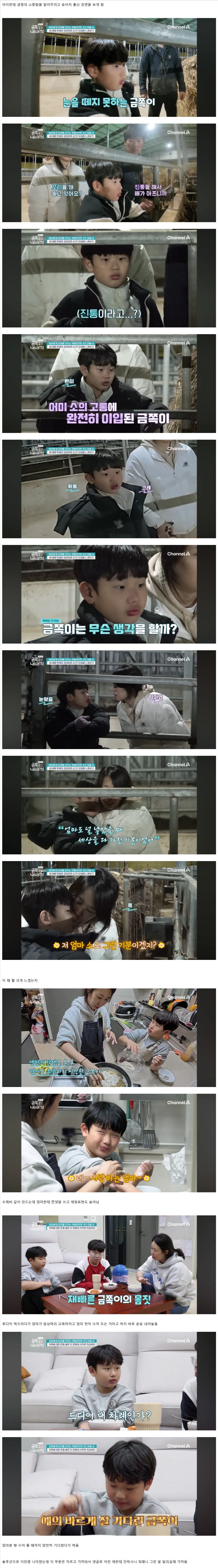 엄마-때린-금쪽이-솔루션-받고-달라진-근황.JPG-1-이미지