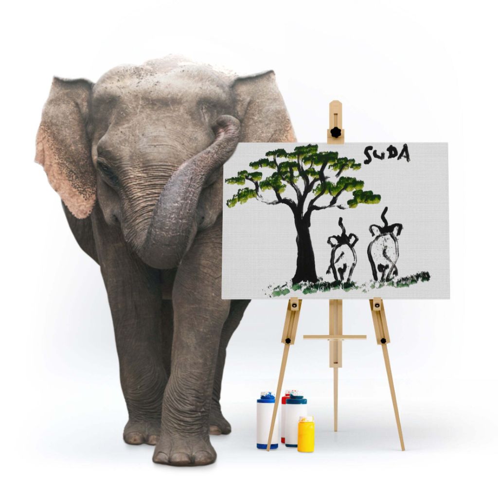 그림그리는-천재-코끼리.gif-10-이미지