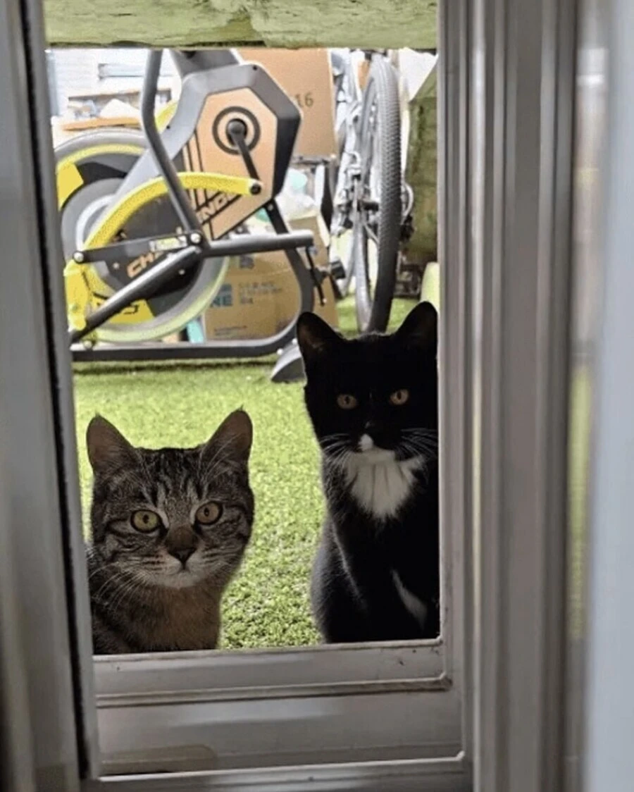 최고의-반지하-옵션.jpg-3-이미지