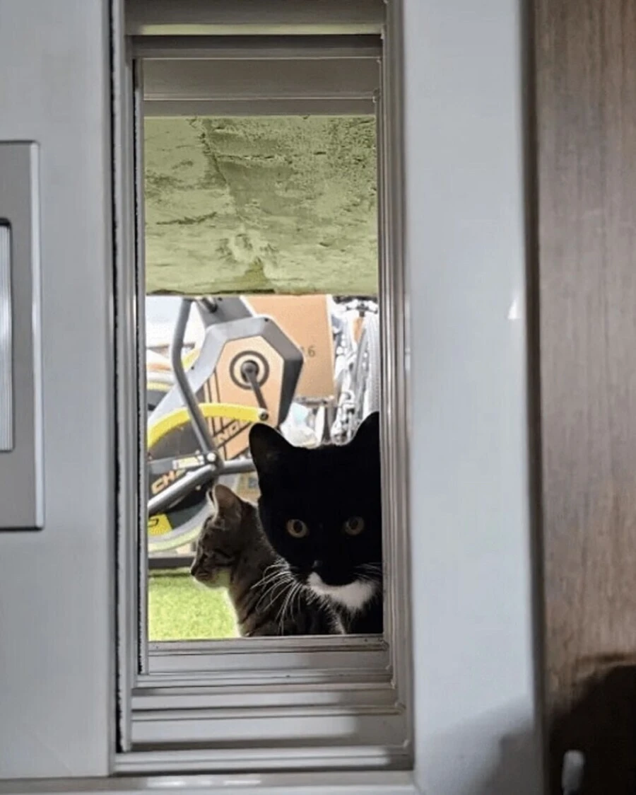 최고의-반지하-옵션.jpg-2-이미지