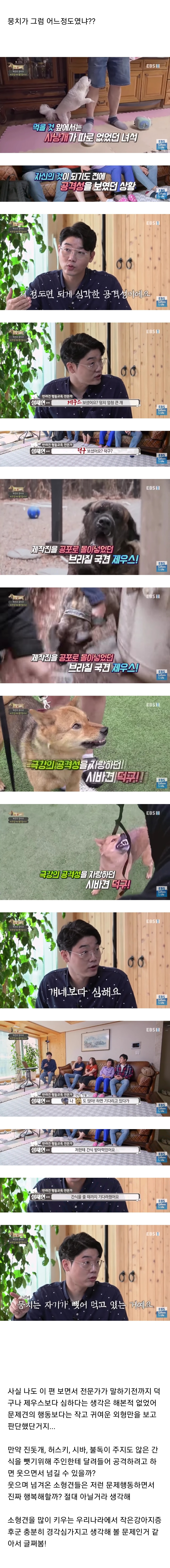 작은-강아지-증후군.jpg-(스몰독-신드롬)-2-이미지