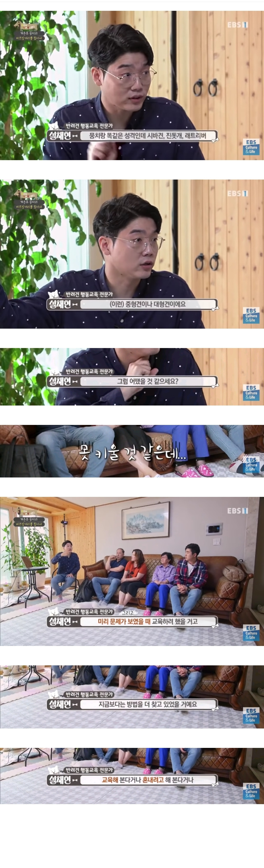 작은-강아지-증후군.jpg-(스몰독-신드롬)-0-이미지