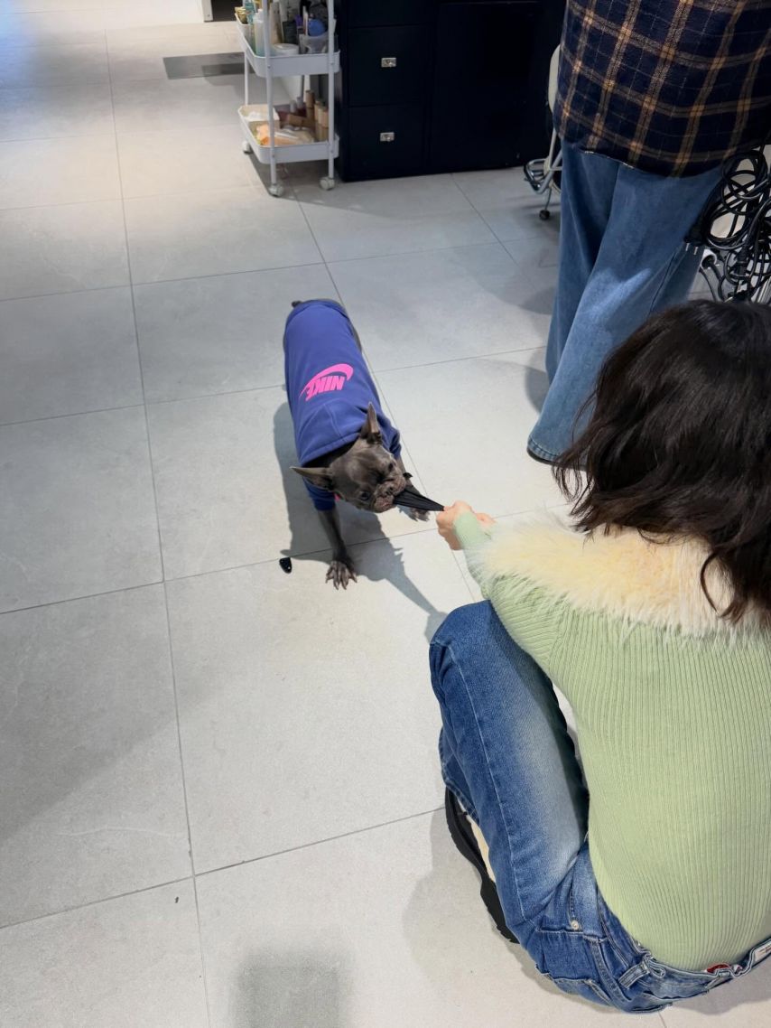 레드벨벳-조이-인스타.jpg-27-이미지