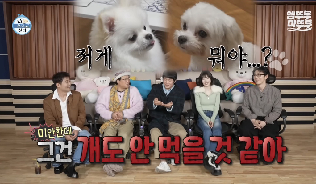 기안의-남은-미역국-활용-방법-10-이미지