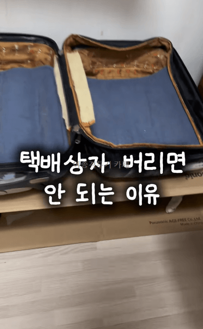 택배-박스에-들어간-고양이들-0-이미지