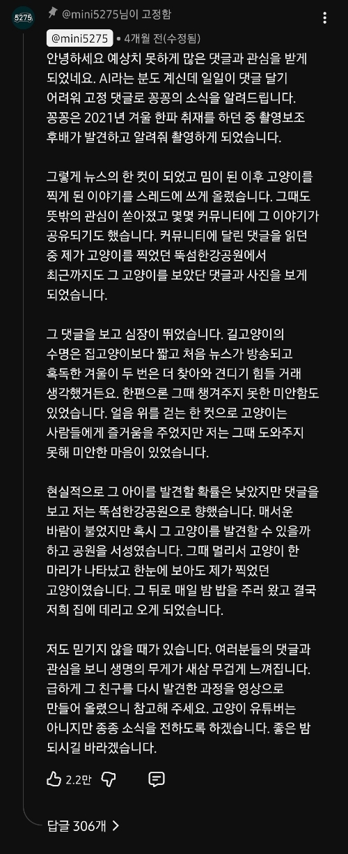 꽁꽁-얼어붙은-한강위를-걸어다니던-고양이-근황.jpg-5-이미지