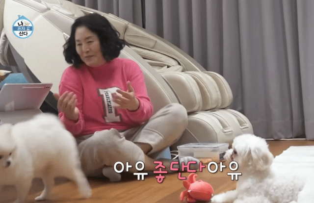 유기견센터에서-댕댕이-입양한-기안84-어머니.gif-1-이미지