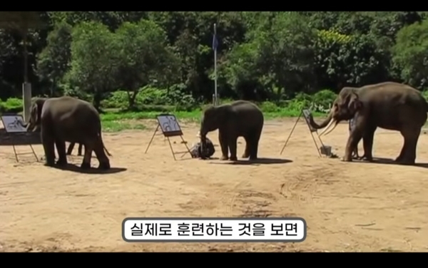 그림그리는-천재-코끼리.gif-8-이미지