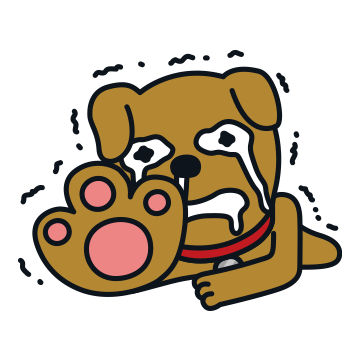 딸기-좋아하는-한국인들-큰일난-이유.........................jpg-3-이미지