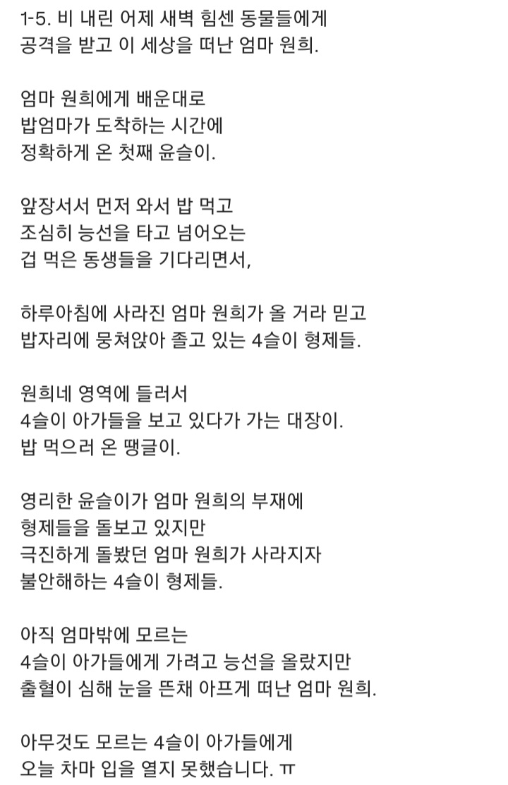 관악산에-사는-고양이들-밥주러-365일-산-타시는-집사님-이야기-들어봐주라.-+아가냥들-입양소식-14-이미지