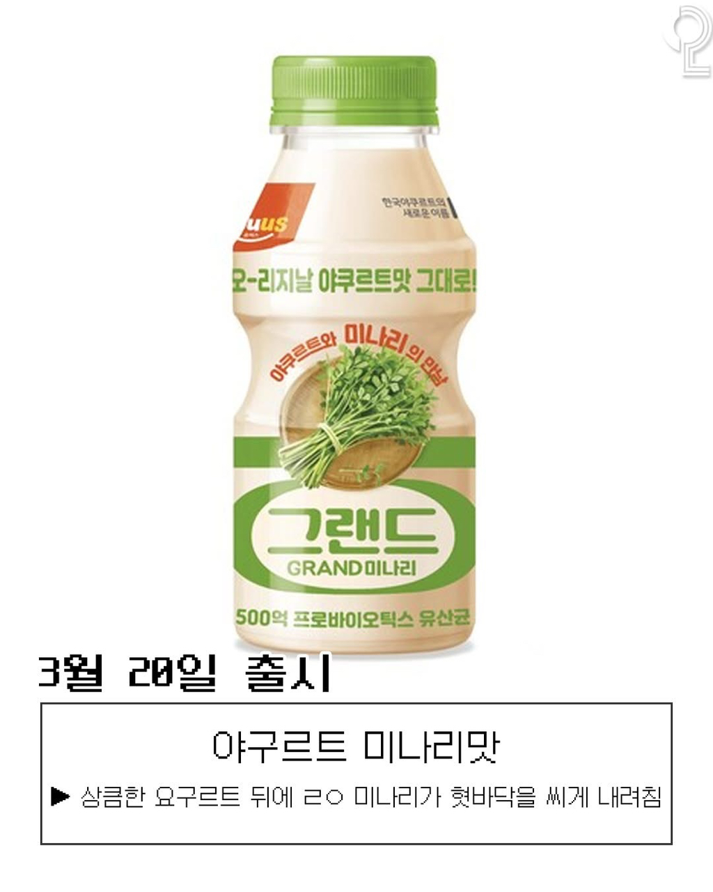 올-한해-출시된-이왜진-음식들-3-이미지